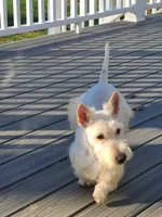 processed/e454a6e4-dbe3-47ab-85a5-e1cd6643f268/facility/cb5667d9-3b3e-495b-8363-9477903a62f6