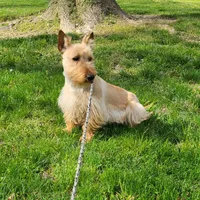 processed/e454a6e4-dbe3-47ab-85a5-e1cd6643f268/facility/d8616675-4fed-4ec4-9d01-2eb68df1b0de