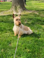 processed/e454a6e4-dbe3-47ab-85a5-e1cd6643f268/facility/d8616675-4fed-4ec4-9d01-2eb68df1b0de