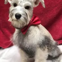 processed/e454a6e4-dbe3-47ab-85a5-e1cd6643f268/facility/f6338fdb-617e-452c-abab-97ea6890b122