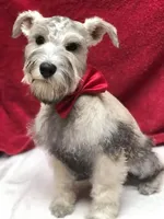 processed/e454a6e4-dbe3-47ab-85a5-e1cd6643f268/facility/f6338fdb-617e-452c-abab-97ea6890b122