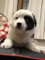 processed/e46859c8-1928-4001-8bd6-4d233bf27145/listing/ef487852-1dc6-488c-8755-f17d63a104ec/51cc2318-b4f1-438e-a908-a8268112229e