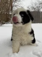 processed/e46859c8-1928-4001-8bd6-4d233bf27145/listing/ef487852-1dc6-488c-8755-f17d63a104ec/6ec1c7bf-7976-4102-9d2e-2f3cb15033ac