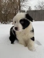 processed/e46859c8-1928-4001-8bd6-4d233bf27145/listing/ef487852-1dc6-488c-8755-f17d63a104ec/b9e3d830-8cce-4c6a-a653-fd2e8c85a8e8