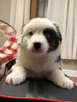 processed/e46859c8-1928-4001-8bd6-4d233bf27145/listing/ef487852-1dc6-488c-8755-f17d63a104ec/fef0de37-002c-481d-a880-39ab96f5828e