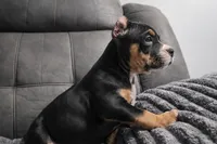 processed/e476fca5-d9fa-47e3-a490-e38f7b328c1a/listing/72246b80-10bf-49d7-b9f4-a29ae1166049/97d93ec9-6aeb-43d5-814b-3213b1434dbf