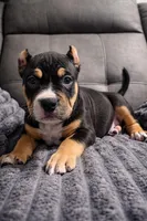 processed/e476fca5-d9fa-47e3-a490-e38f7b328c1a/listing/72246b80-10bf-49d7-b9f4-a29ae1166049/b6b4362e-5e2a-4713-928d-008438ab7c66