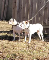 processed/e47eefc7-6292-41cc-a3dd-e501b8892866/facility/39f8dcf5-006e-4e8a-81b8-994b3f68adcc