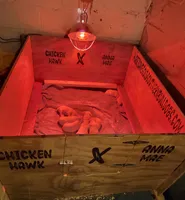 processed/e47eefc7-6292-41cc-a3dd-e501b8892866/facility/53e98bfa-2be1-4080-8f50-2cf42340d98b