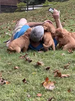 processed/e4813e76-acc0-4108-a4d9-4ad53f8b21d9/facility/e0790c37-1ccf-4c67-92a0-c14612aad50a