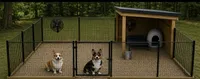 AKC Paris, a female Pembroke Welsh Corgi for sale in Midland, AR – 3 of 7