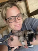 Female F, a female Kangal Dog for sale in Ellenwood, GA – Photo 2 of 10