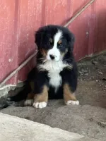 processed/e48db36e-b880-442f-9367-3c0356a7116f/listing/4b413585-da80-4f7e-a69a-4e5823c1b05b/144c9fe9-e670-4b17-96a7-c7ca839d9eab