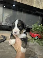 processed/e48db36e-b880-442f-9367-3c0356a7116f/listing/4b413585-da80-4f7e-a69a-4e5823c1b05b/9bf06731-7645-4274-97e9-0999f43b05c8