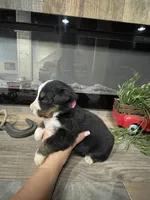 processed/e48db36e-b880-442f-9367-3c0356a7116f/listing/4b413585-da80-4f7e-a69a-4e5823c1b05b/a9447109-3701-4537-b60a-6058380f6f3d