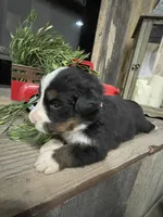 processed/e48db36e-b880-442f-9367-3c0356a7116f/listing/4b413585-da80-4f7e-a69a-4e5823c1b05b/c55e208e-80da-498b-9bd3-9c87ae2c5aa2