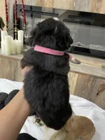 processed/e48db36e-b880-442f-9367-3c0356a7116f/listing/4b413585-da80-4f7e-a69a-4e5823c1b05b/e686097f-4f18-4d25-8a8c-ef0b0a1418a3