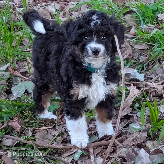 processed/e48f1308-1c4e-44da-bdcf-8747affa1ee9/listing/848369f7-a147-486a-8860-b81290e63458/666674e8-a77d-4475-9357-4b5a27dbedc0