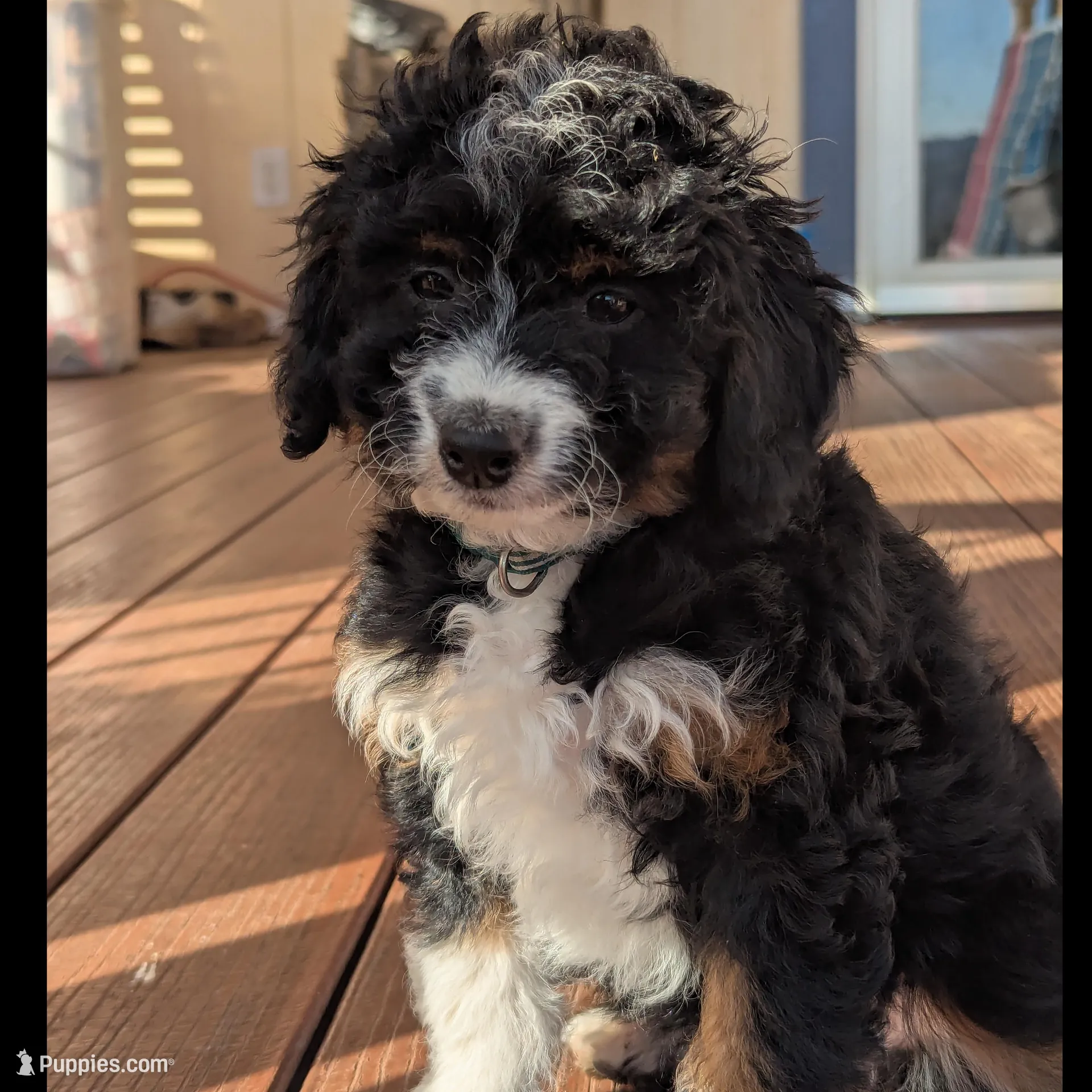 processed/e48f1308-1c4e-44da-bdcf-8747affa1ee9/listing/848369f7-a147-486a-8860-b81290e63458/ab09434e-7660-4e99-aebb-d546e3b83562