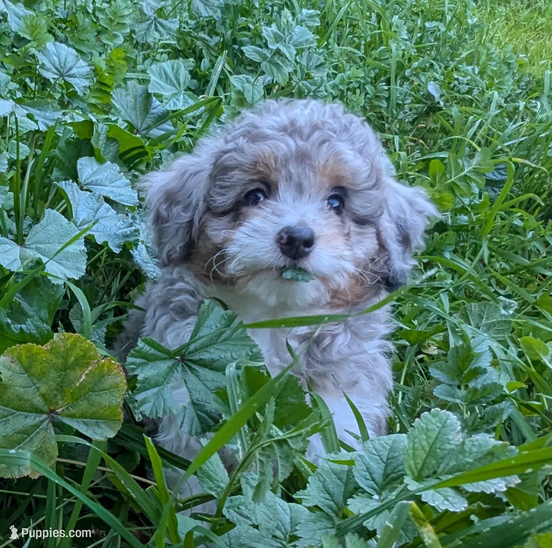 processed/e48f1308-1c4e-44da-bdcf-8747affa1ee9/listing/bd464715-be74-4022-b2ed-5ad8635c6376/5ad68f5b-466b-4385-b85e-b4152f5ba11b