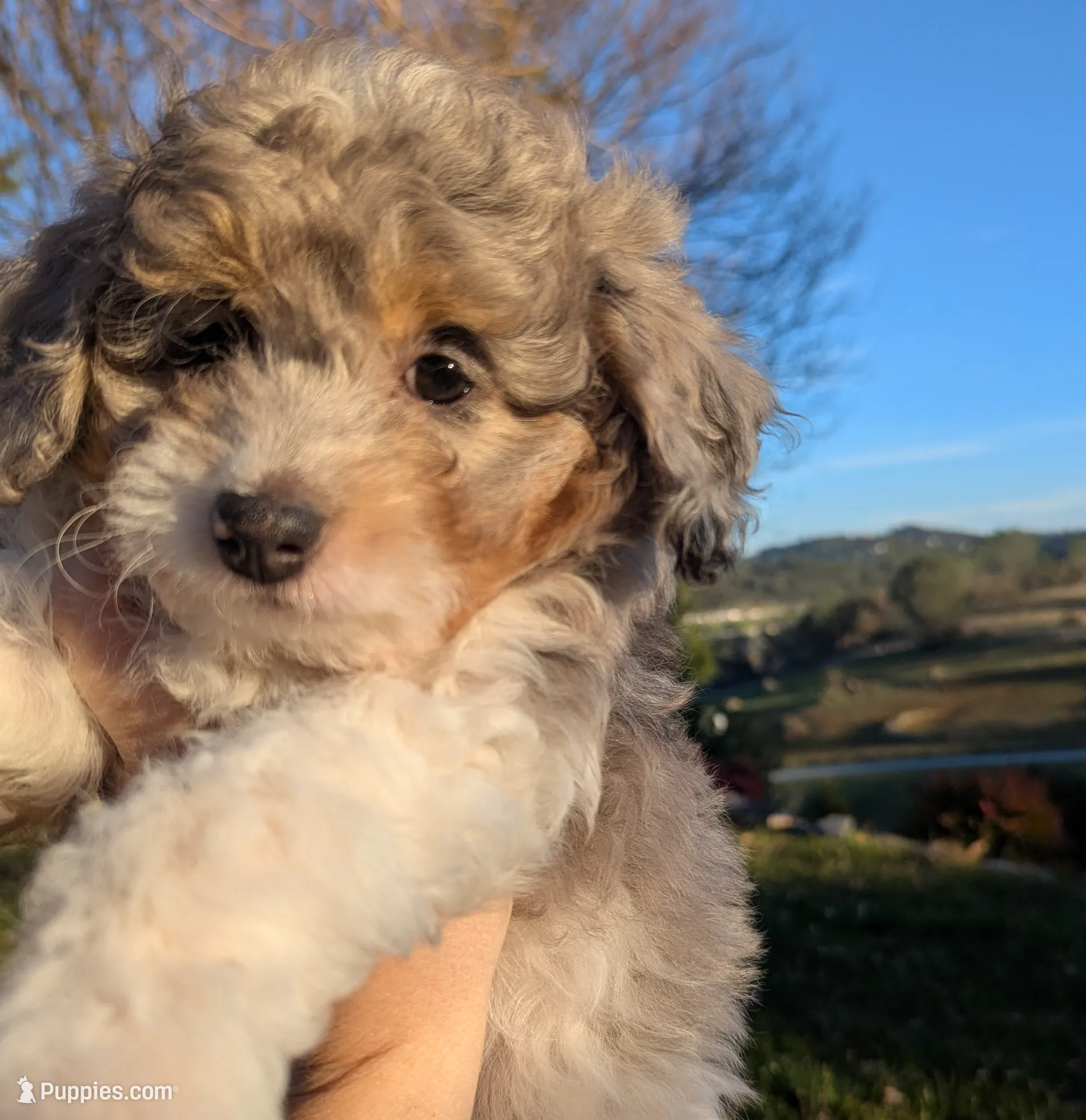 processed/e48f1308-1c4e-44da-bdcf-8747affa1ee9/listing/bd464715-be74-4022-b2ed-5ad8635c6376/feac86f9-dd82-44f1-89f6-0d67fcf47823