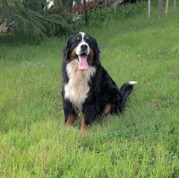 processed/e48f1308-1c4e-44da-bdcf-8747affa1ee9/listing/d5ae9923-e3ea-4055-88ca-7475d392792b/03cc6041-0396-4e9f-b498-78fcaa669a80