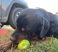 processed/e497f1a4-06ec-449a-a8af-26cd33e6c714/listing/38ce24f1-7ffc-4951-89a1-9173cb2c5990/45098e09-a0e4-4def-a13b-bac4e9418140