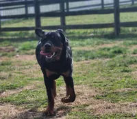 processed/e497f1a4-06ec-449a-a8af-26cd33e6c714/listing/38ce24f1-7ffc-4951-89a1-9173cb2c5990/baf4aa3e-dadf-4874-823b-95f876e06416