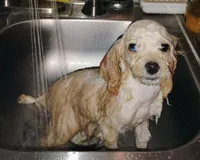 processed/e4a832c2-4928-4fa4-a4f5-dc9541ee206a/listing/ebf7597f-e501-4b70-94c8-d0ae7c24ea04/2d1fcfe5-04ac-4a7e-ad60-fecdd58b68dd