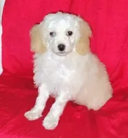 processed/e4a832c2-4928-4fa4-a4f5-dc9541ee206a/listing/ebf7597f-e501-4b70-94c8-d0ae7c24ea04/7cdb913d-e3d8-4bda-bf00-6bd30af560c5