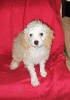 processed/e4a832c2-4928-4fa4-a4f5-dc9541ee206a/listing/ebf7597f-e501-4b70-94c8-d0ae7c24ea04/7d08eb32-da13-4836-85a7-6068f0a55ec1