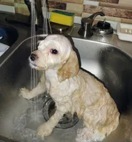 processed/e4a832c2-4928-4fa4-a4f5-dc9541ee206a/listing/ebf7597f-e501-4b70-94c8-d0ae7c24ea04/abe78fe4-3cf7-443d-a4d2-aa6948bff858