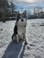 processed/e4b1b52c-8b97-41c4-a997-b14abe4b9ca5/facility/9254508f-5e71-45f3-b346-36ca2073da98