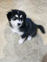 processed/e4b1b52c-8b97-41c4-a997-b14abe4b9ca5/listing/7959dc78-5a9e-42b7-98ba-7053c2c8eab2/12f64865-1944-4b26-95de-df12639ec42d