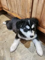 processed/e4b1b52c-8b97-41c4-a997-b14abe4b9ca5/listing/7959dc78-5a9e-42b7-98ba-7053c2c8eab2/c94717e9-ff53-4736-818a-82ff620854c7