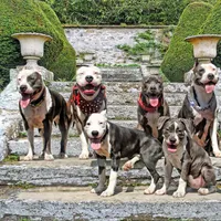 processed/e4b33b40-d850-4a89-9f27-8b690d5e0ec3/facility/13a614bd-f96e-4d51-a8a6-9b6218fe5eb6