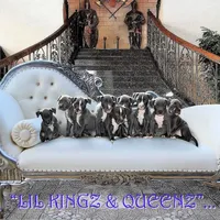 processed/e4b33b40-d850-4a89-9f27-8b690d5e0ec3/facility/185a68c3-c257-4d1e-97d2-f50b7b48fcdc