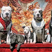 processed/e4b33b40-d850-4a89-9f27-8b690d5e0ec3/facility/586610b2-d03f-47c1-98bf-15c681c641ee