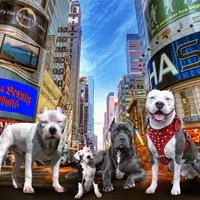 processed/e4b33b40-d850-4a89-9f27-8b690d5e0ec3/facility/5948bc38-a160-4b54-ba98-d4966c3fb52e