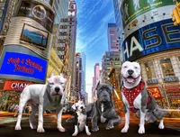 processed/e4b33b40-d850-4a89-9f27-8b690d5e0ec3/facility/5948bc38-a160-4b54-ba98-d4966c3fb52e