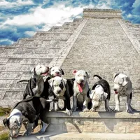 processed/e4b33b40-d850-4a89-9f27-8b690d5e0ec3/facility/739f5a93-bb0c-44d7-8ad5-9e33a3f96da7