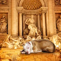 processed/e4b33b40-d850-4a89-9f27-8b690d5e0ec3/facility/7e9012da-4d7d-4283-a237-b00b753f807c