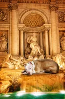 processed/e4b33b40-d850-4a89-9f27-8b690d5e0ec3/facility/7e9012da-4d7d-4283-a237-b00b753f807c