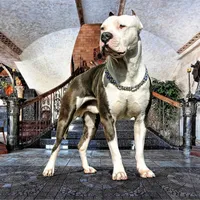 processed/e4b33b40-d850-4a89-9f27-8b690d5e0ec3/facility/9041b8a1-45f5-49e6-ac1f-8fc6dab84d08