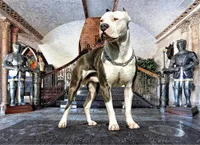 processed/e4b33b40-d850-4a89-9f27-8b690d5e0ec3/facility/9041b8a1-45f5-49e6-ac1f-8fc6dab84d08