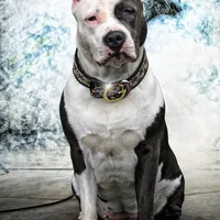 processed/e4b33b40-d850-4a89-9f27-8b690d5e0ec3/facility/f718311d-ad3f-4a30-a50b-d76198aa4587