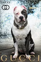 processed/e4b33b40-d850-4a89-9f27-8b690d5e0ec3/facility/f718311d-ad3f-4a30-a50b-d76198aa4587