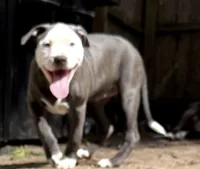 processed/e4b33b40-d850-4a89-9f27-8b690d5e0ec3/listing/443b4555-d94f-4d40-81b6-23796f272326/5669c945-7c86-4c85-9a32-347b33bbcd35