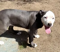 processed/e4b33b40-d850-4a89-9f27-8b690d5e0ec3/listing/443b4555-d94f-4d40-81b6-23796f272326/ddf88a52-c02f-4388-addc-4b2c09ec9c48