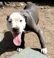 processed/e4b33b40-d850-4a89-9f27-8b690d5e0ec3/listing/443b4555-d94f-4d40-81b6-23796f272326/fa5b31f4-79d9-4ddd-a43f-cc910cc5d017